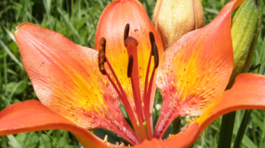 Un parco naturale sul Poro (VV). Per vivere meglio