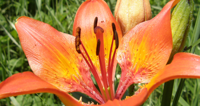 Un parco naturale sul Poro (VV). Per vivere meglio